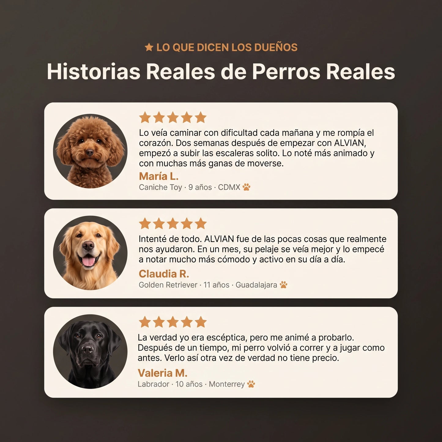 Colágeno Líquido para Perros | Articulaciones, Pelaje y Vitalidad