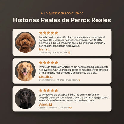 Colágeno Líquido para Perros | Articulaciones, Pelaje y Vitalidad