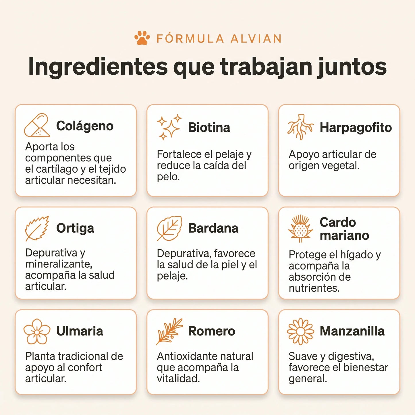 Colágeno Líquido para Perros | Articulaciones, Pelaje y Vitalidad