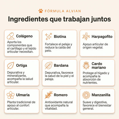 Colágeno Líquido para Perros | Articulaciones, Pelaje y Vitalidad