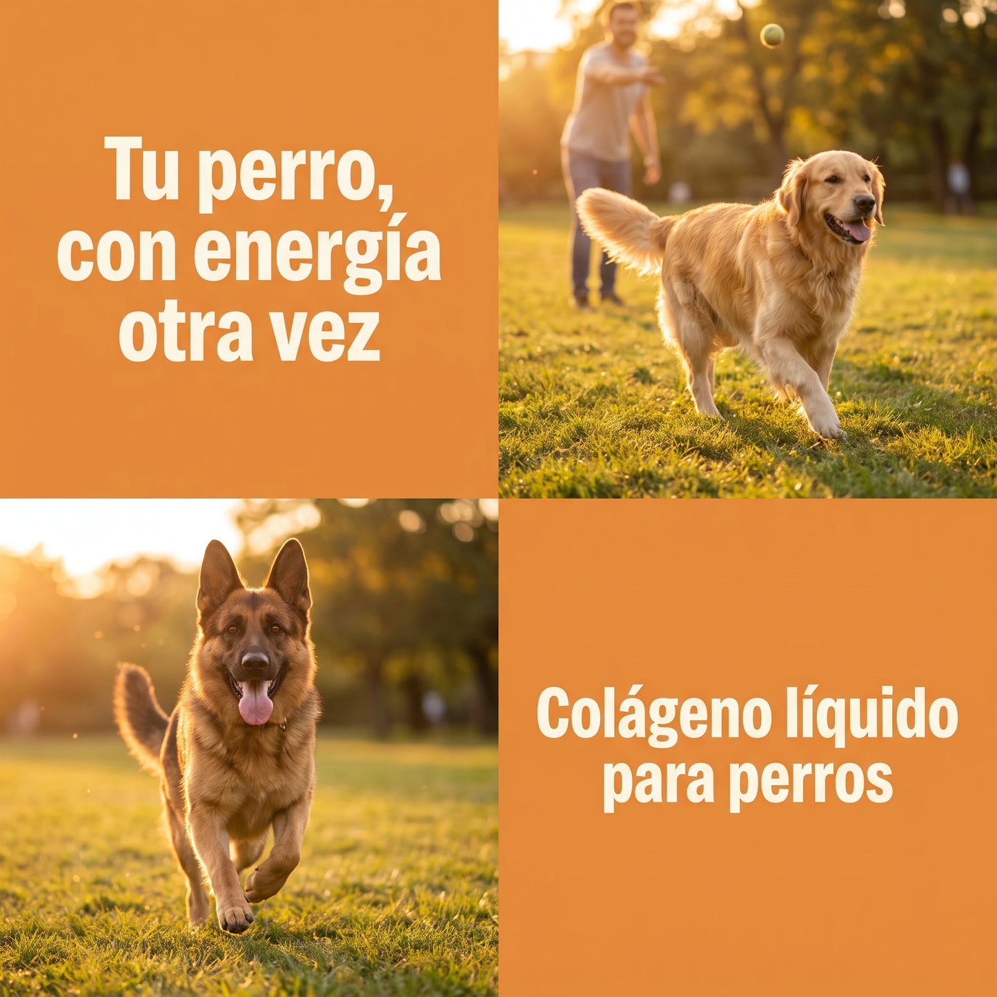 Colágeno Líquido para Perros | Articulaciones, Pelaje y Vitalidad