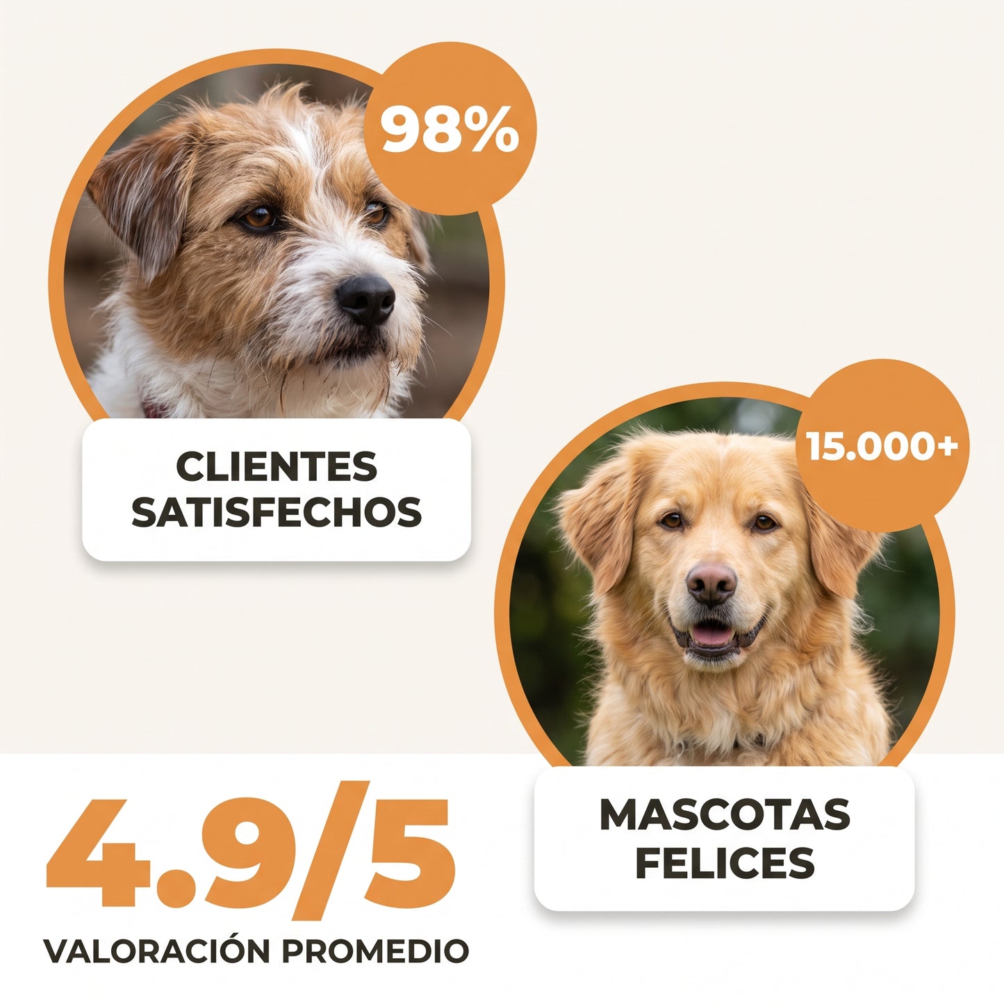 Suplemento probiótico para perros