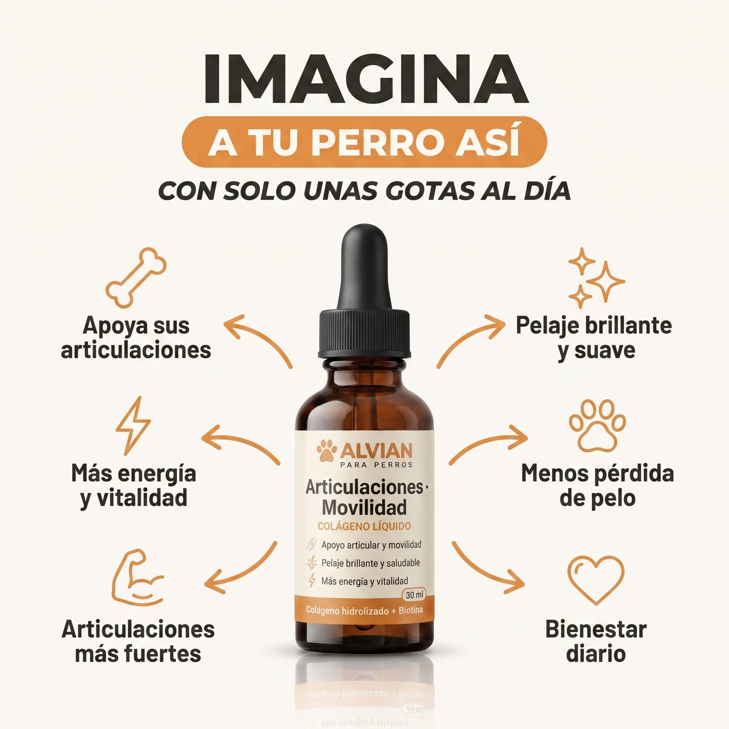 Colágeno Líquido para Perros | Articulaciones, Pelaje y Vitalidad