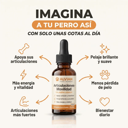 Colágeno Líquido para Perros | Articulaciones, Pelaje y Vitalidad
