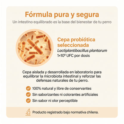 Suplemento probiótico para perros