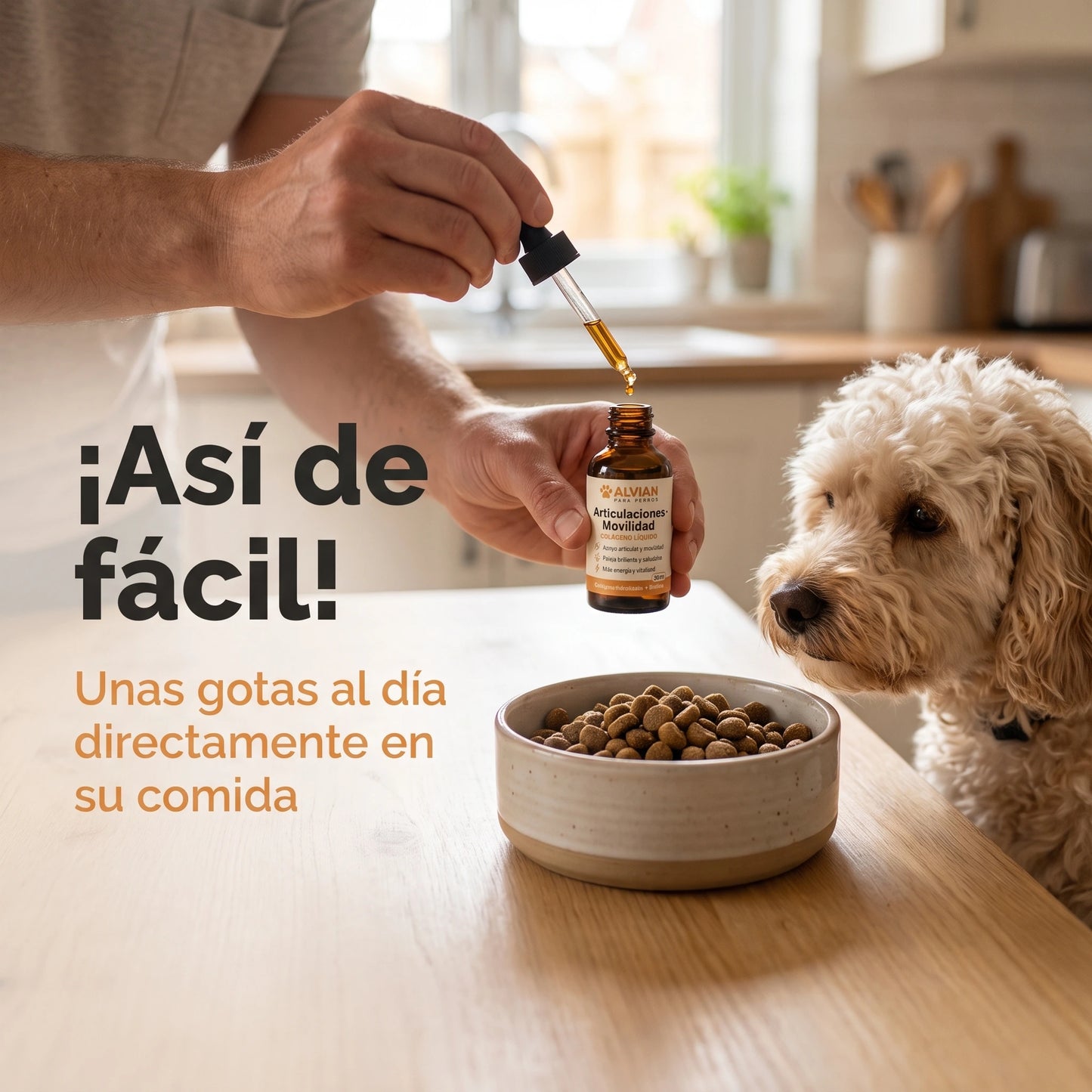 Colágeno Líquido para Perros | Articulaciones, Pelaje y Vitalidad