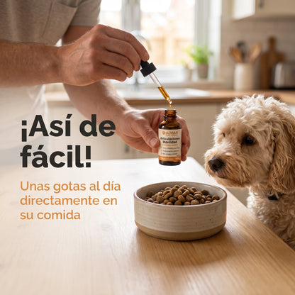 Colágeno Líquido para Perros | Articulaciones, Pelaje y Vitalidad