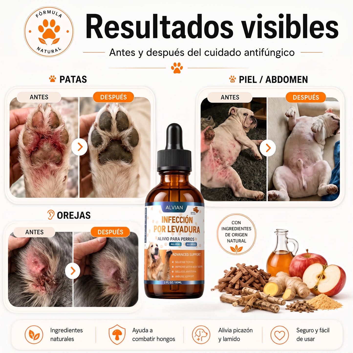 Fórmula Veterinaria Natural para Eliminar Hongos en Perros