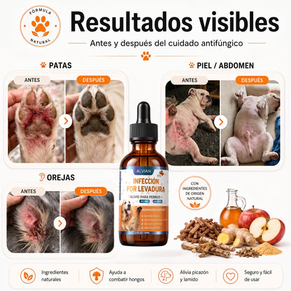 Fórmula Veterinaria Natural para Eliminar Hongos en Perros