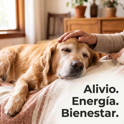 Colágeno Líquido para Perros | Articulaciones, Pelaje y Vitalidad