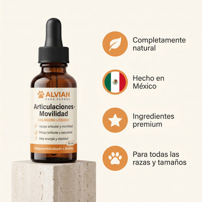 Colágeno Líquido para Perros | Articulaciones, Pelaje y Vitalidad