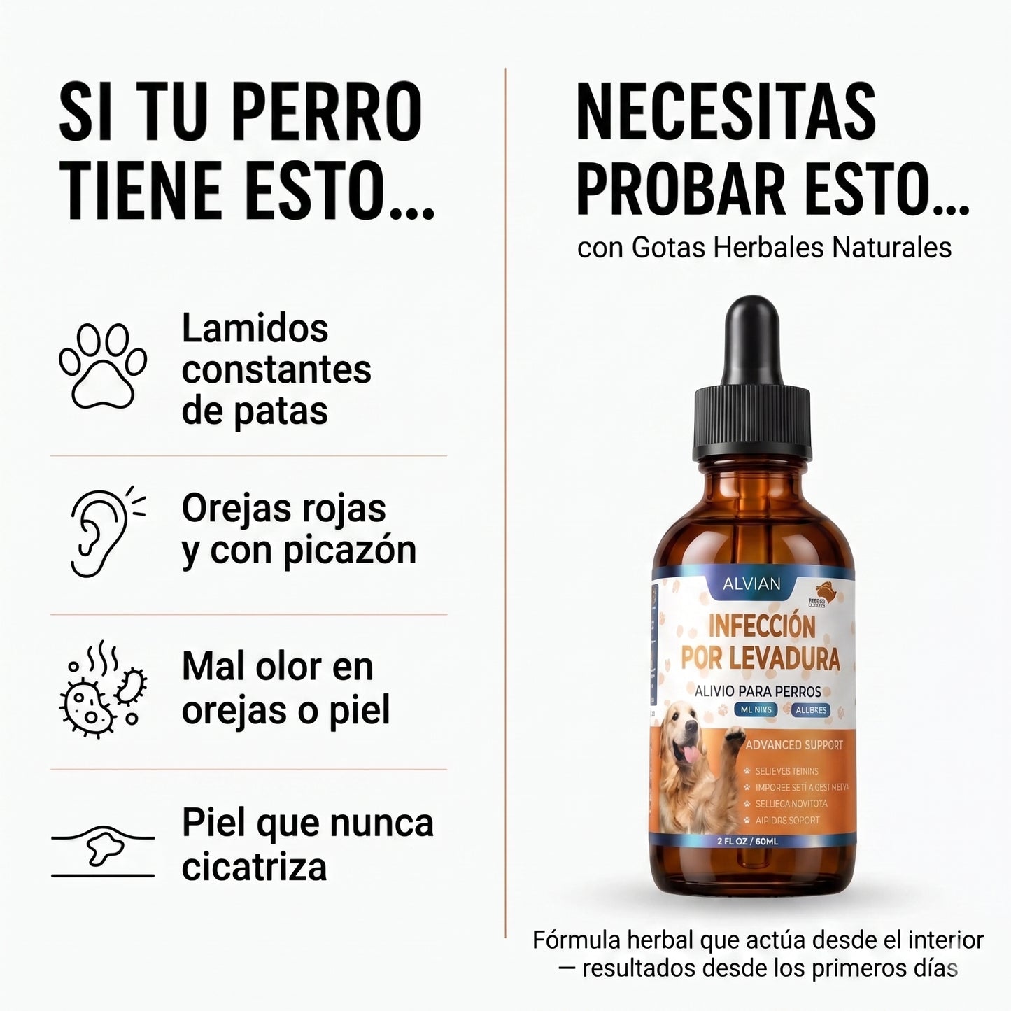Fórmula Veterinaria Natural para Eliminar Hongos en Perros
