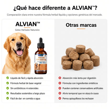 Fórmula Veterinaria Natural para Eliminar Hongos en Perros