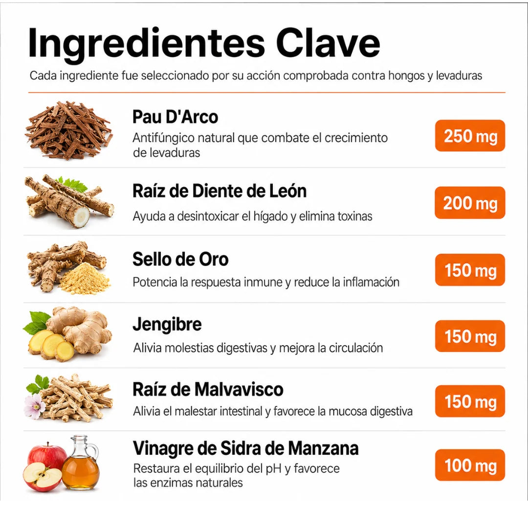 Fórmula Veterinaria Natural para Eliminar Hongos en Perros
