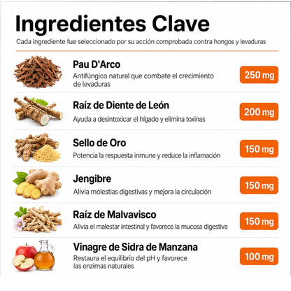 Fórmula Veterinaria Natural para Eliminar Hongos en Perros
