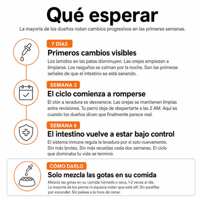 Fórmula Veterinaria Natural para Eliminar Hongos en Perros