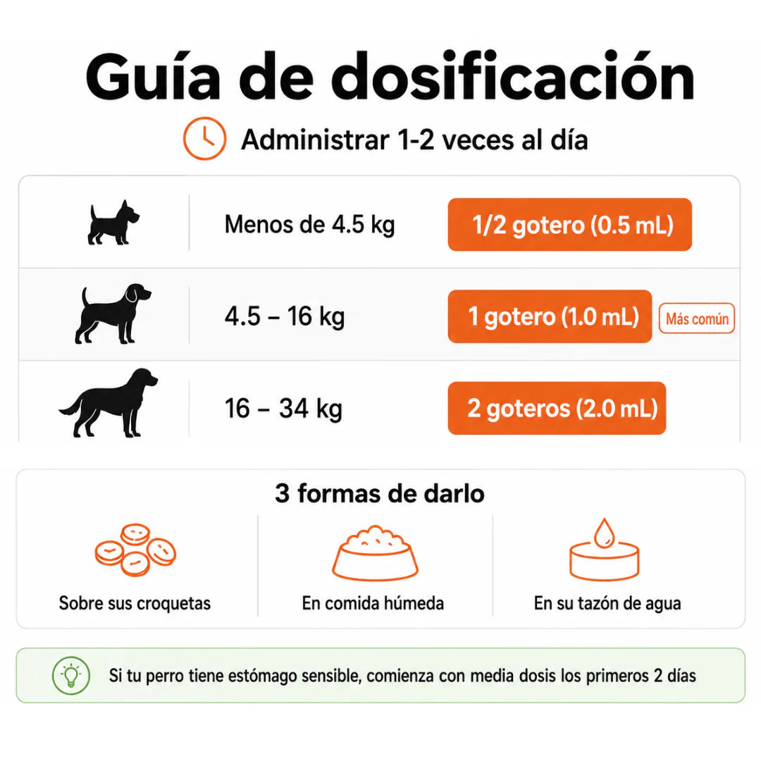 Fórmula Veterinaria Natural para Eliminar Hongos en Perros